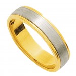 Alliance Homme 2 ors.