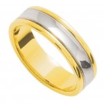 Alliance Homme 2 ors.