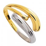 Bague 2 ors.