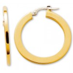 Boucles d'oreilles cr�oles 2 Ors.