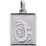 M�daille Zodiaque Or blanc.CAPRICORNE.