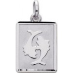 M�daille Zodiaque Or blanc.POISSONS.