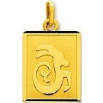 M�daille Zodiaque Or jaune.CAPRICORNE.