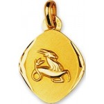 M�daille Zodiaque Or Jaune.CAPRICORNE.