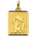 M�daille Zodiaque Or jaune.VERSEAU.