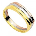 Alliance Femme 3 ors.