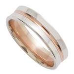 Alliance Homme 2 ors.