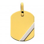 Pendentif Plaque 2 ors.