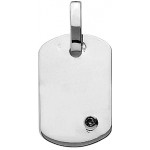 Pendentif Plaque Or Blanc Diamant noir.