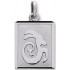M�daille Zodiaque Or blanc.CAPRICORNE.
