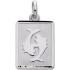 M�daille Zodiaque Or blanc.POISSONS.
