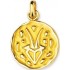 M�daille Zodiaque Or jaune.CAPRICORNE.