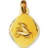 M�daille Zodiaque Or Jaune.CAPRICORNE.
