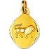 M�daille Zodiaque Or Jaune.LION.